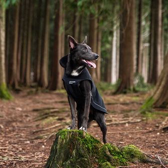 Mountain Paws Pláštenka pre psa veľká