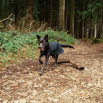 Mountain Paws Pláštenka pre psa veľká