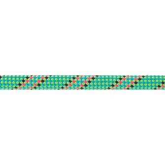 Beal dynamické lano Tiger Unicore 10 mm, zelená 50 m